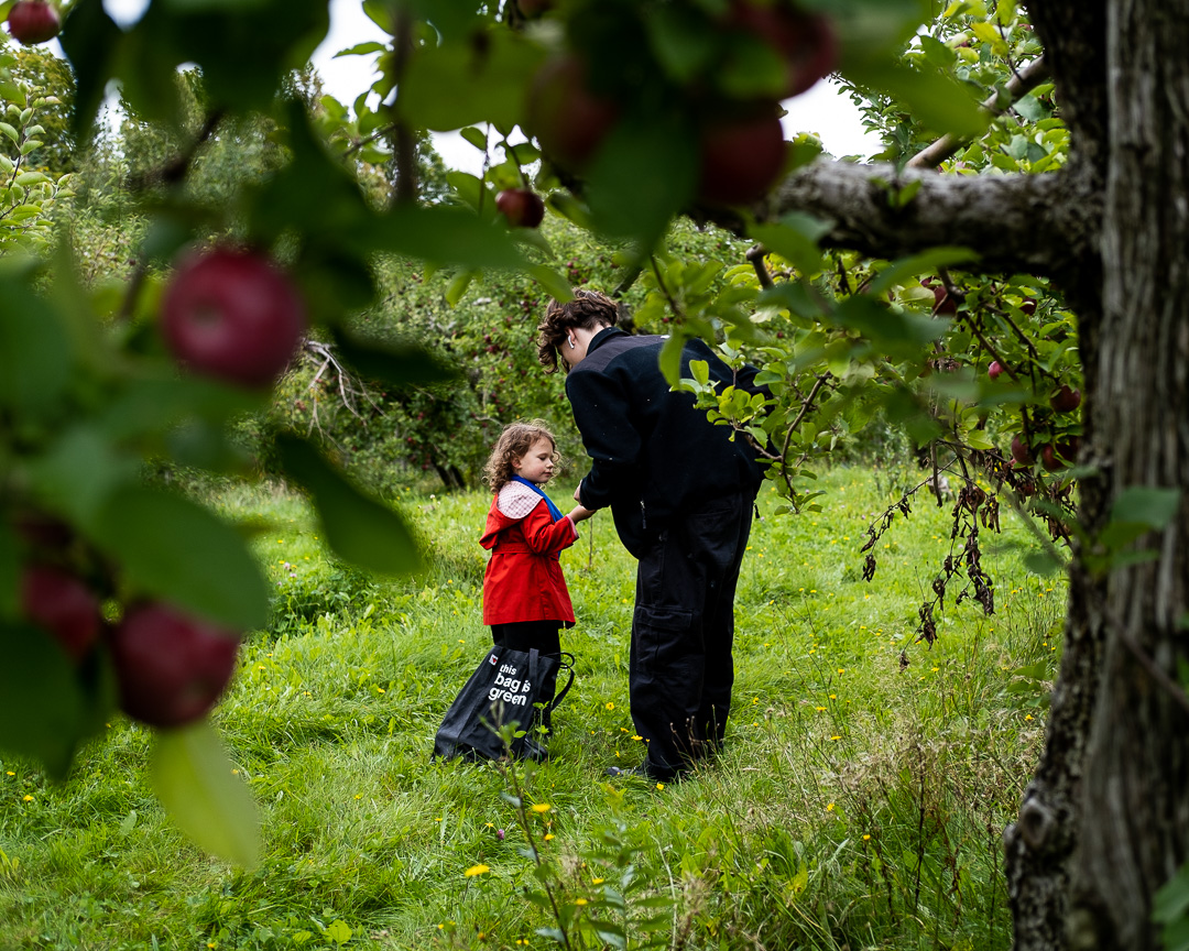 Bambin et ado aux pommes